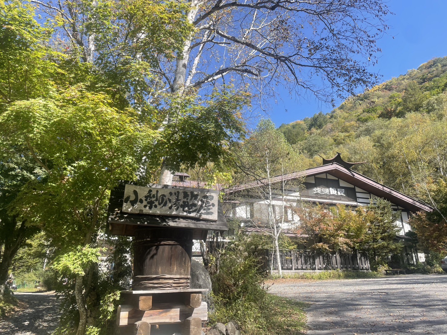 ★紅葉情報★10月17日