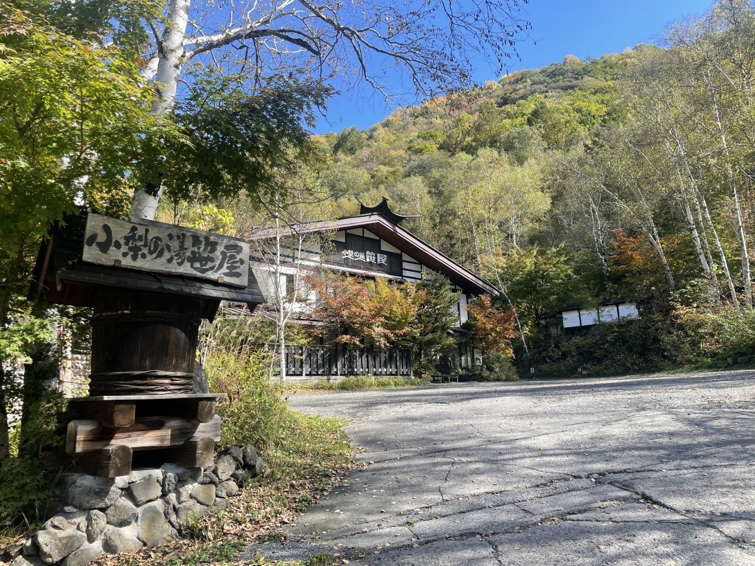 ★紅葉情報★10月20日