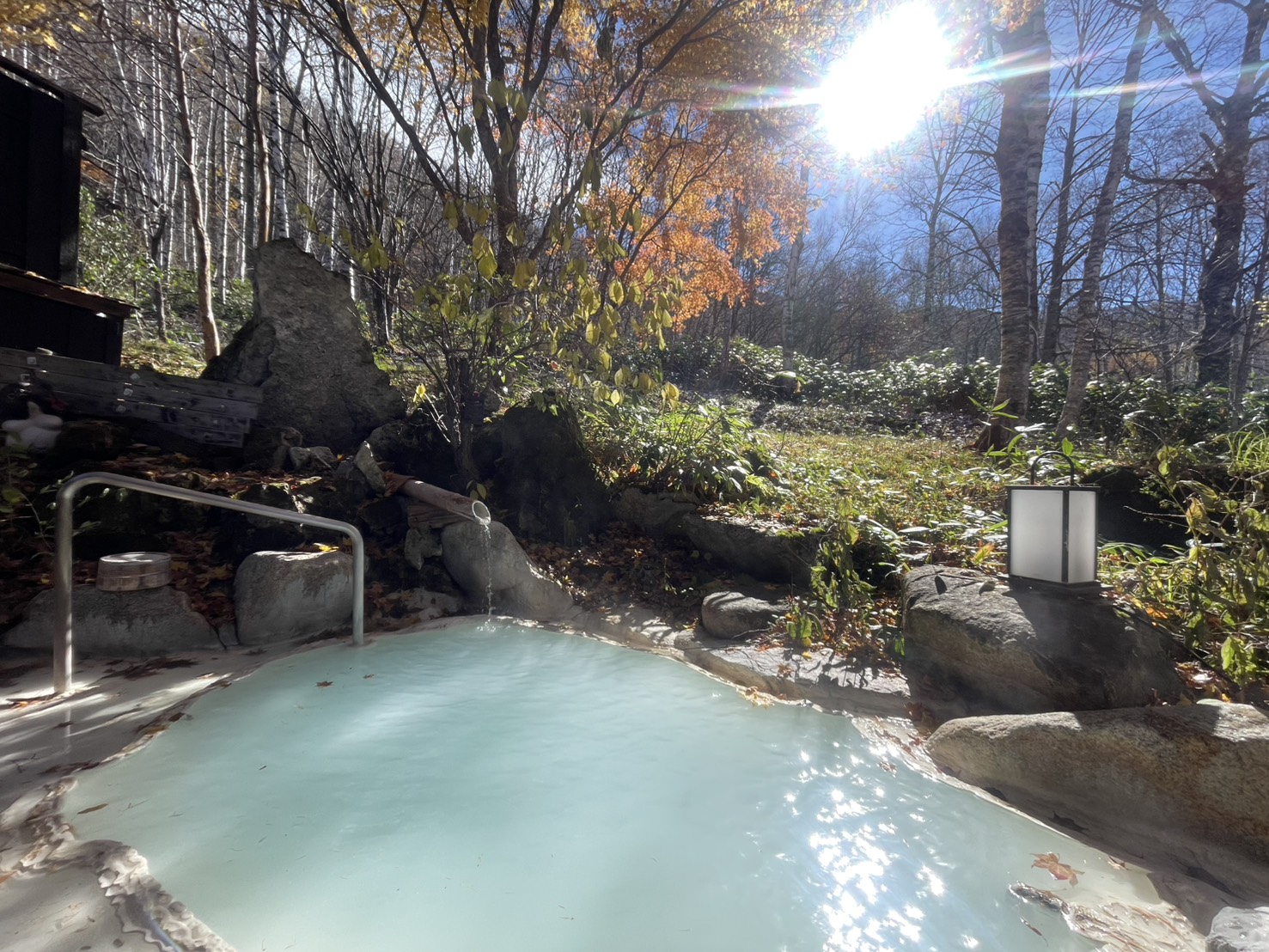 ★紅葉情報★11月11日